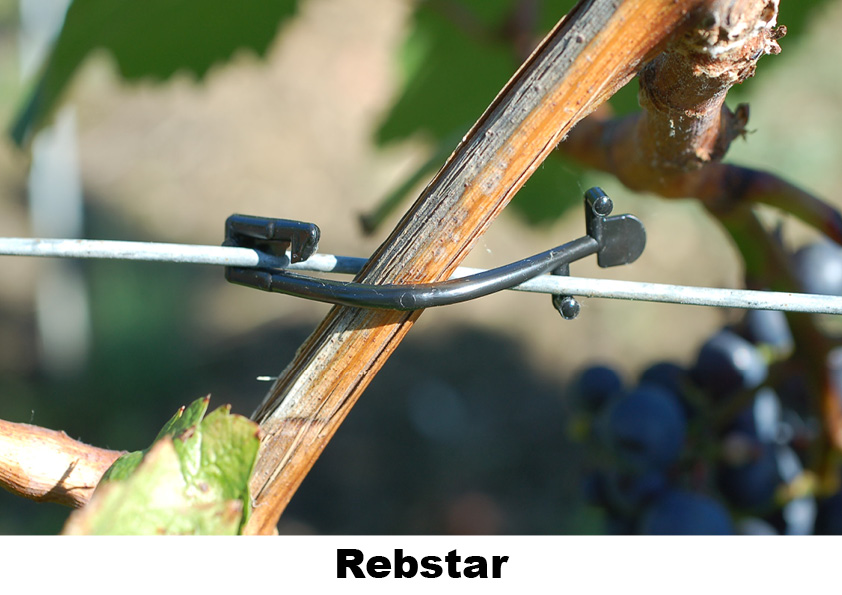 Rebstar "big" 250 Stk zum Befestigen von Trieben im Weinbau oder von Himbeeren 